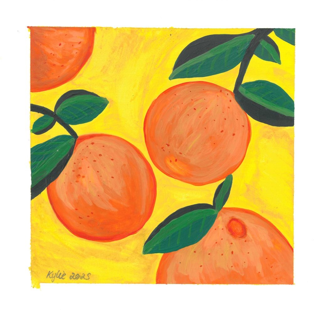 Noonas Oranges - Kylie Chum - SALA 2025 - Barkuma online gallery